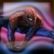 Maximaler Spider-Man