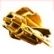 Waffenbr�der 