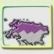 Region 2-Herausforderer 